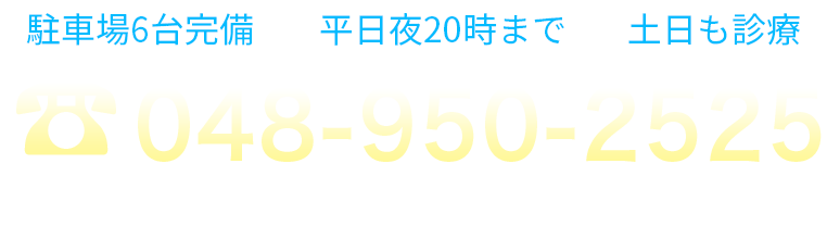 048-950-2525